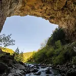 Hébergement de vacances La Petite Maison Du Hêtre