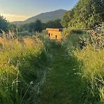 La Petite Maison Du Hetre 別荘 Brassac (Ariege)