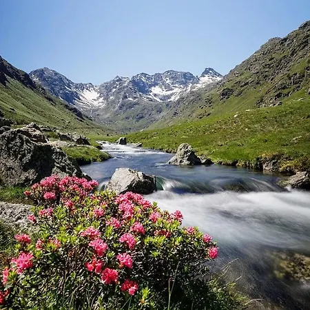 La Petite Maison Du Hetre Brassac (Ariege)