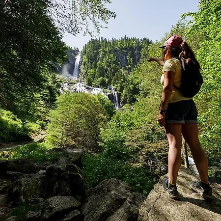 別荘 La Petite Maison Du Hetre Brassac (Ariege)
