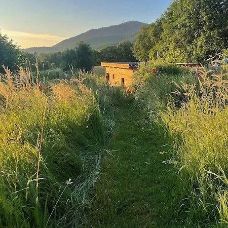 La Petite Maison Du Hetre 別荘 Brassac (Ariege)