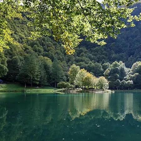 La Petite Maison Du Hêtre * Brassac (Ariege)