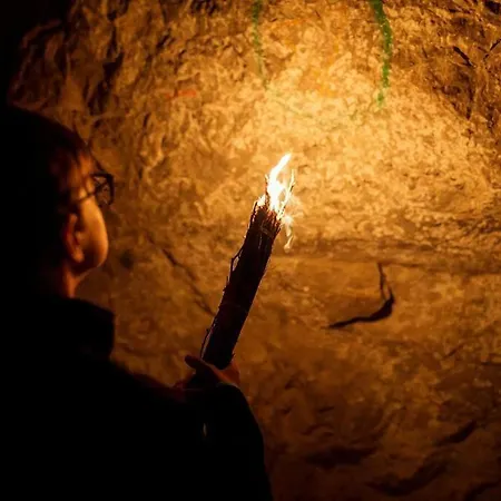 別荘 La Petite Maison Du Hetre *