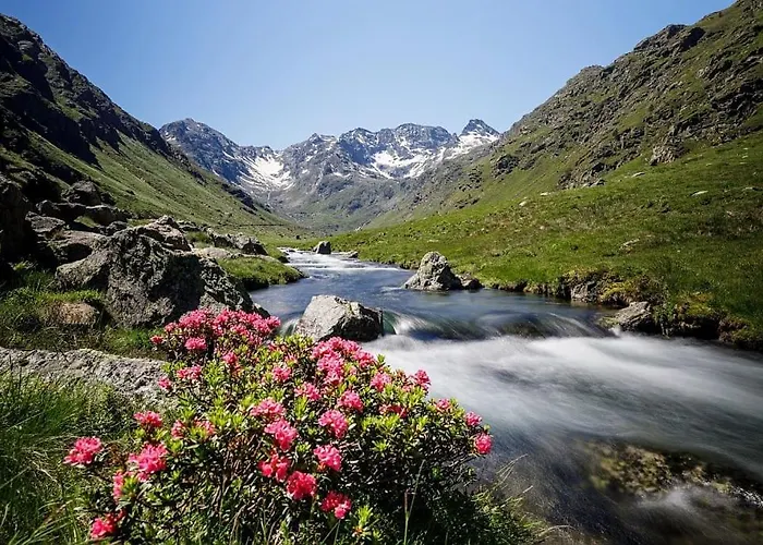 La Petite Maison Du Hetre Brassac (Ariege)