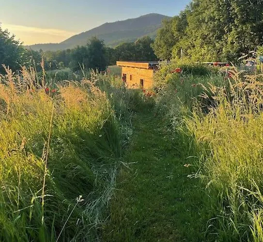 La Petite Maison Du Hetre Σπίτι διακοπών Brassac (Ariege)