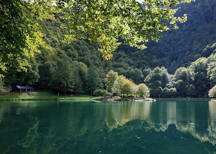 La Petite Maison Du Hetre * Brassac (Ariege)
