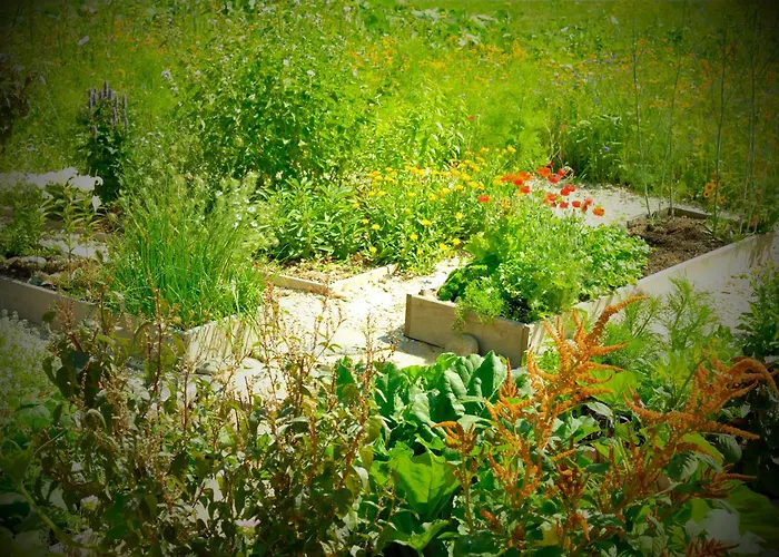 Σπίτι διακοπών La Petite Maison Du Hetre Brassac (Ariege)